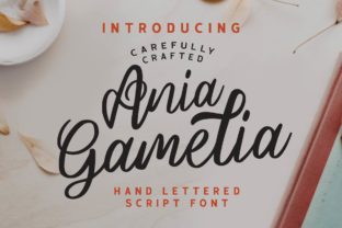 Ania Gamelia: A Handwritten Font for Small Brands