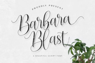 Barbara Blast: A Bold Script Font for Web Design