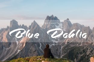 Blue Dahlia: A Bold Handwritten Font for Campaigns