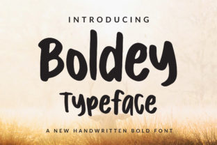 Boldey: A Bold Script Font for Crafters