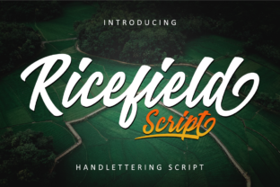 Ricefield Font: A Vintage Script for Web Design