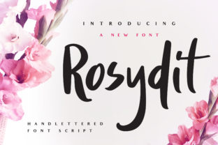 Rosydit Font: A Web Designer's Review
