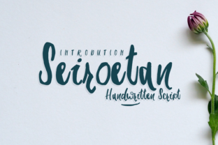 Seiroetan: A Raw Script Font for Modern Web Design
